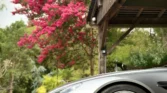 Aston Martin V8 Vantage 2006 coté fleur