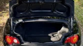 BMW Z4 E85 noire coffre